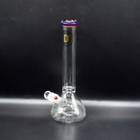 38x4-12-amber-purple-beaker