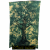 classic-tree-green-ltp-118