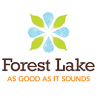 Forest Lake Arts In The Park - 06.07.2021