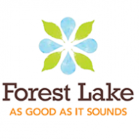 Bonus Forest Lake Arts in the Park